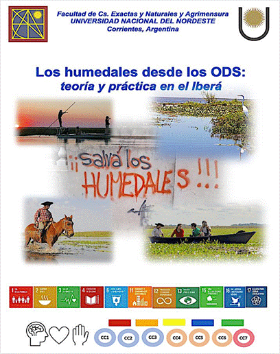 Figura 1. Módulo para la formación permanente sobre los humedales: caso Iberá (CoDesignS ESD, 2023).