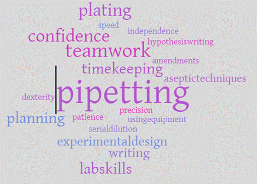 Figure 2. Word cloud created from the responses given by students studying on a Foundation Year Introductory Biology module when asked which skills they had developed during a practical biology experiment exploring the antibiotic properties of essential oils. 