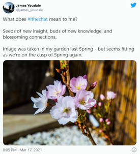 A close up of a flower

Description automatically generated with low confidence