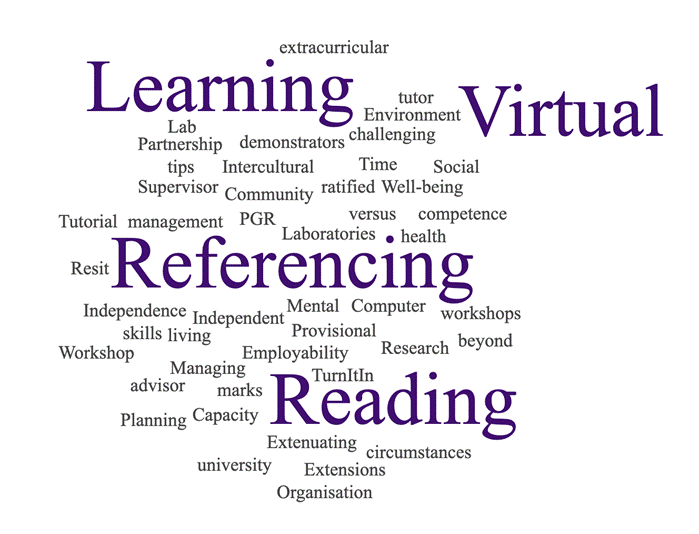 Figure 1. Word cloud showing words and phrases not covered by the resource that staff deemed important to include.
