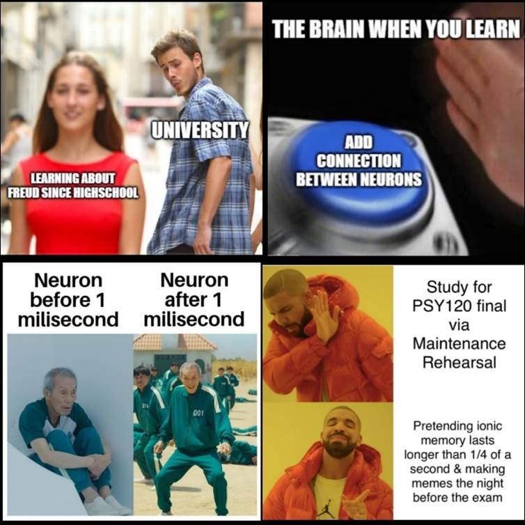 Figure 2. Examples of Student Generated Memes (some memes have been cropped for space)