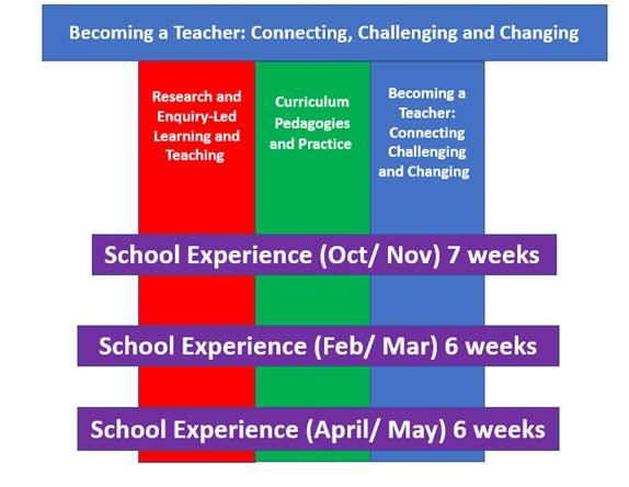 A diagram of a teacher
AI-generated content may be incorrect.